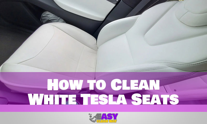 How to Clean White Tesla Seats