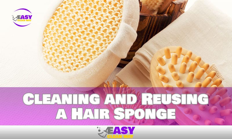 Cleaning and Reusing a Hair Sponge