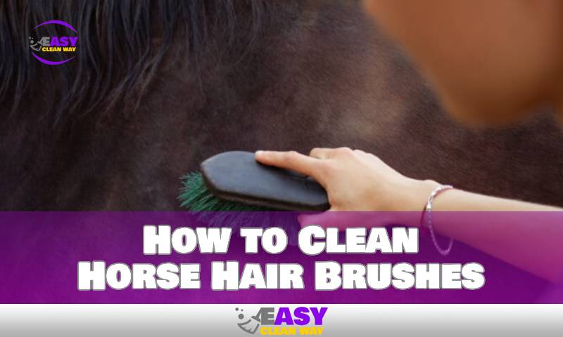 How to Clean Horse Hair Brushes