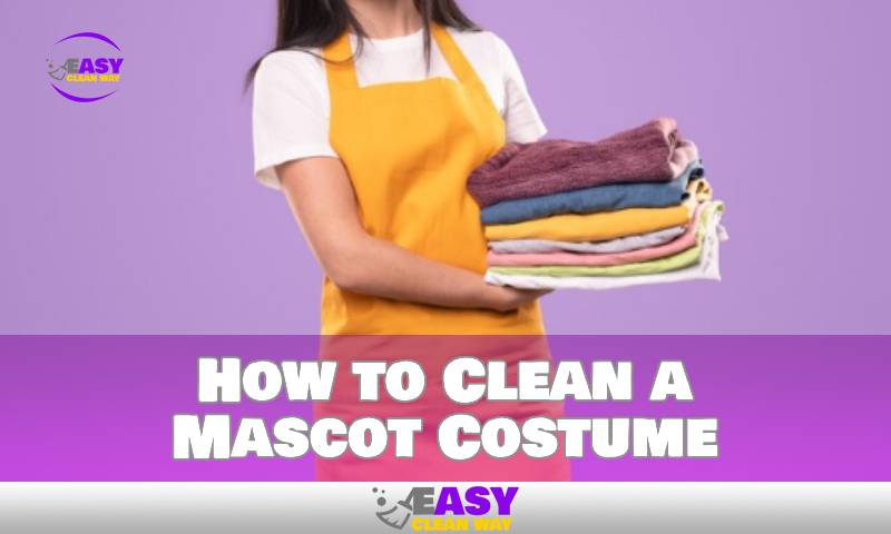 How to Clean a Mascot Costume
