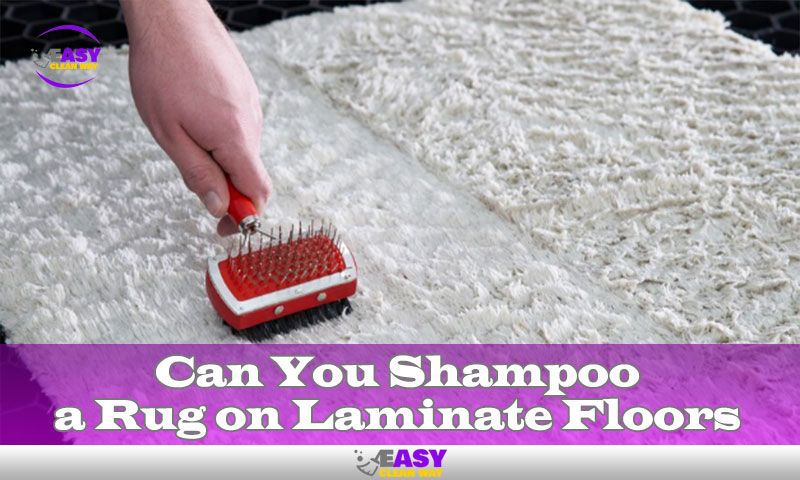 Can You Shampoo a Rug on Laminate Floors